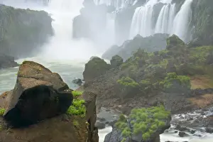 Iguazu Prints: Picture No. 10889337