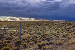 Steppe Prints: Picture No. 10889565