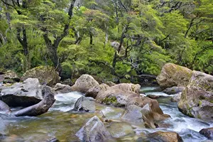 Meanders Prints: Picture No. 10889569