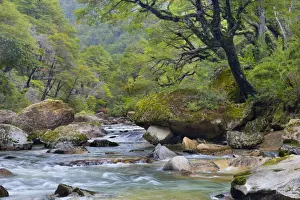 Meanders Prints: Picture No. 10889570