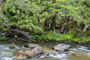 Meanders Prints: Picture No. 10889571