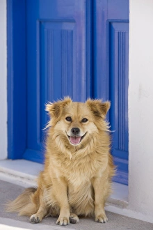 Images Dated 9th April 2012: Picture No. 10890191