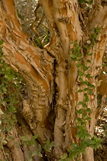 Images Dated 16th February 2012: Picture No. 10890401