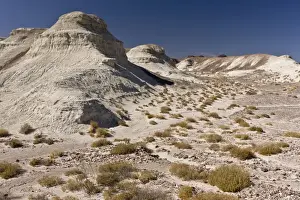 Mojave Prints: Picture No. 10890404