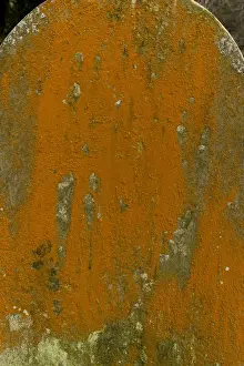 Gravestone Prints: Picture No. 10890444
