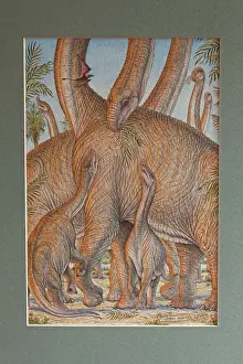 Jurassic Prints: Picture No. 10890771