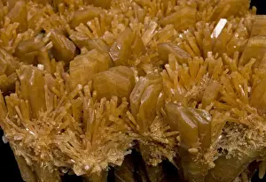 Gypsum Prints: Picture No. 10891093