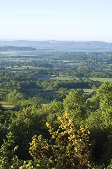 Images Dated 23rd May 2010: Picture No. 10891349