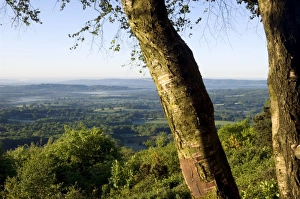 Images Dated 23rd May 2010: Picture No. 10891350