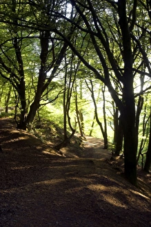 Images Dated 23rd May 2010: Picture No. 10891351