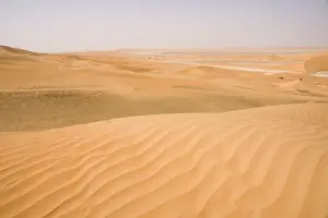 Camels Prints: Picture No. 10891517