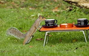 Images Dated 27th September 2011: Picture No. 10891640