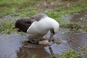 Images Dated 14th December 2010: Picture No. 10891739