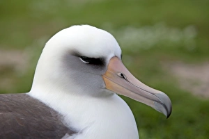 Images Dated 14th December 2010: Picture No. 10891746