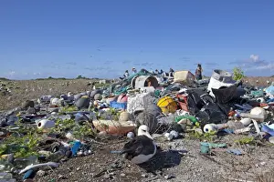 Rubbish Prints: Picture No. 10891761