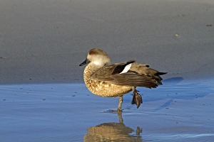 Images Dated 26th October 2010: Picture No. 10892074