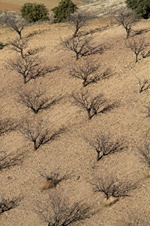 Images Dated 2011 January: 