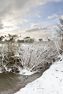 Images Dated 3rd December 2010: Picture No. 10893230