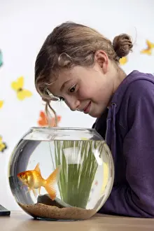 Goldfish Prints: Picture No. 10893590