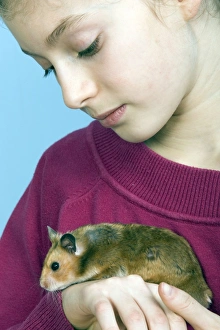Images Dated 28th January 2010: Picture No. 10893623