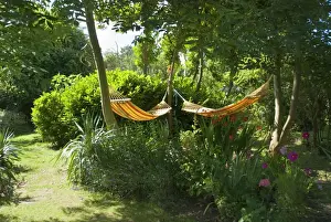 Hammocks Prints: Picture No. 10893750