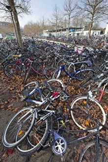 Images Dated 27th March 2012: Picture No. 10893842