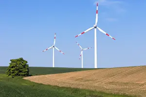Arable Prints: Picture No. 10893851