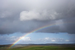 Images Dated 3rd June 2012: Picture No. 10894509