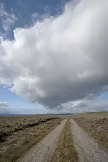Moorland Prints: Picture No. 10894536