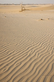 Images Dated 28th August 2012: Picture No. 10894669