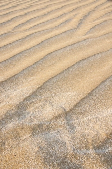Images Dated 28th August 2012: Picture No. 10894670