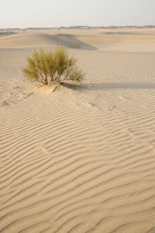 Images Dated 28th August 2012: Picture No. 10894675