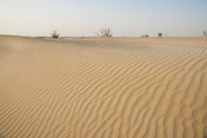 Images Dated 28th August 2012: Picture No. 10894676