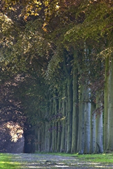 Images Dated 22nd May 2010: Picture No. 10894765