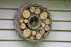 Flycatcher Prints: Picture No. 10894776