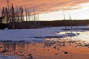 Yellowstone Prints: Picture No. 10895189