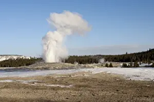 Yellowstone Prints: Picture No. 10895190