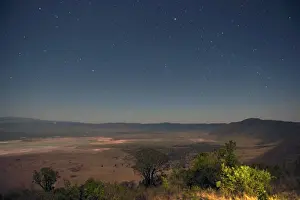 Starry Prints: Picture No. 10895740