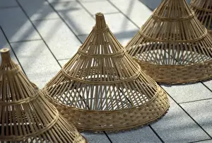 Picture No. 10896129
