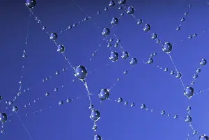 Drops Prints: Picture No. 10896248