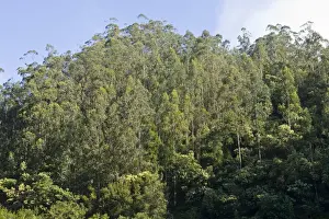 Picture No. 10896430