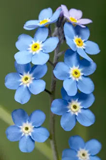 Picture No. 10896583