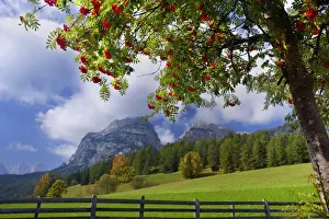 Sella Prints: Picture No. 10896890