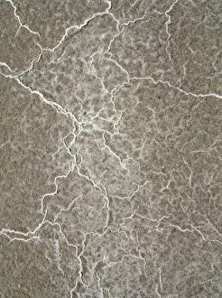 Structural Prints: Picture No. 10897042