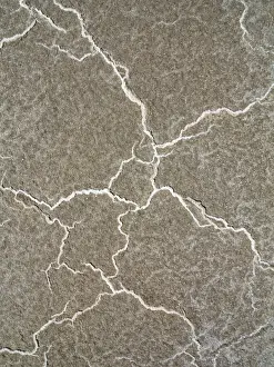 Structural Prints: Picture No. 10897043