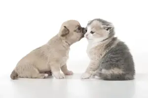 Picture No. 10897257
