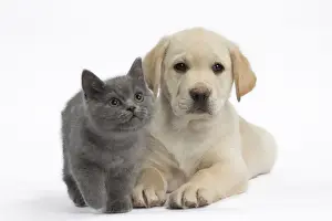 Picture No. 10897957