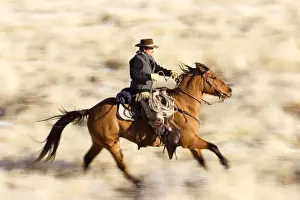 Cowboy Prints: Picture No. 10898588