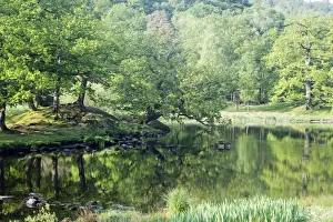 Cumbria Prints: Picture No. 10899364