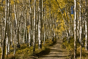 Images Dated 1st October 2012: Picture No. 10899439